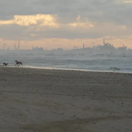 6 Pers. Duplex Vue Avec Charme De L'ancien Daire Bray-Dunes
